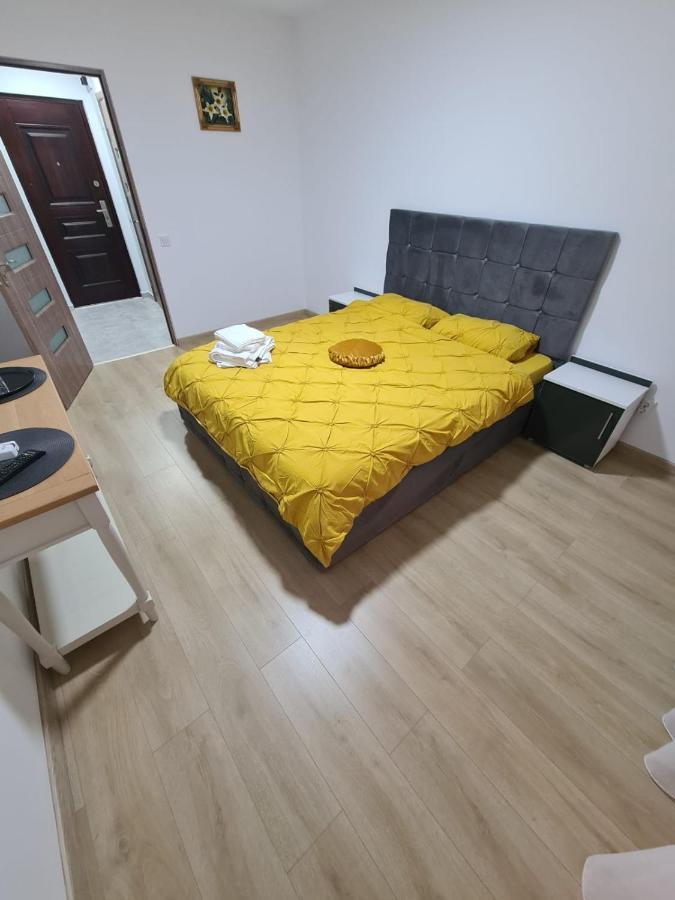 Garsoniera Luxury Kevin Lägenhet Piteşti Exteriör bild